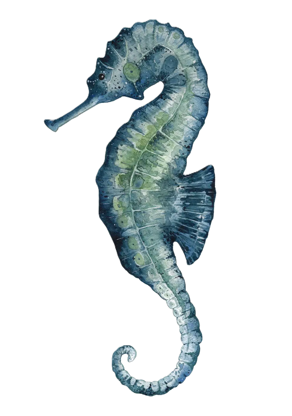 Atlantic Vet Header